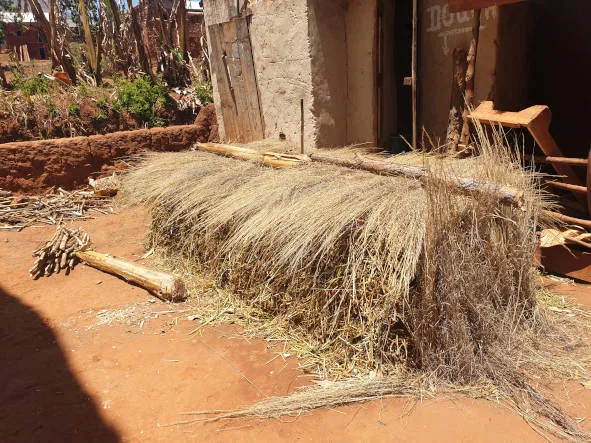 Un tas de compost préparé par les Lead Farmers à Ihasy, Ibity
